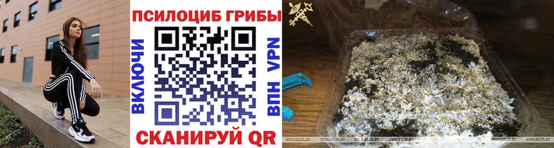 где можно купить   Холм  Галлюциногенные грибы MAGIC MUSHROOMS 